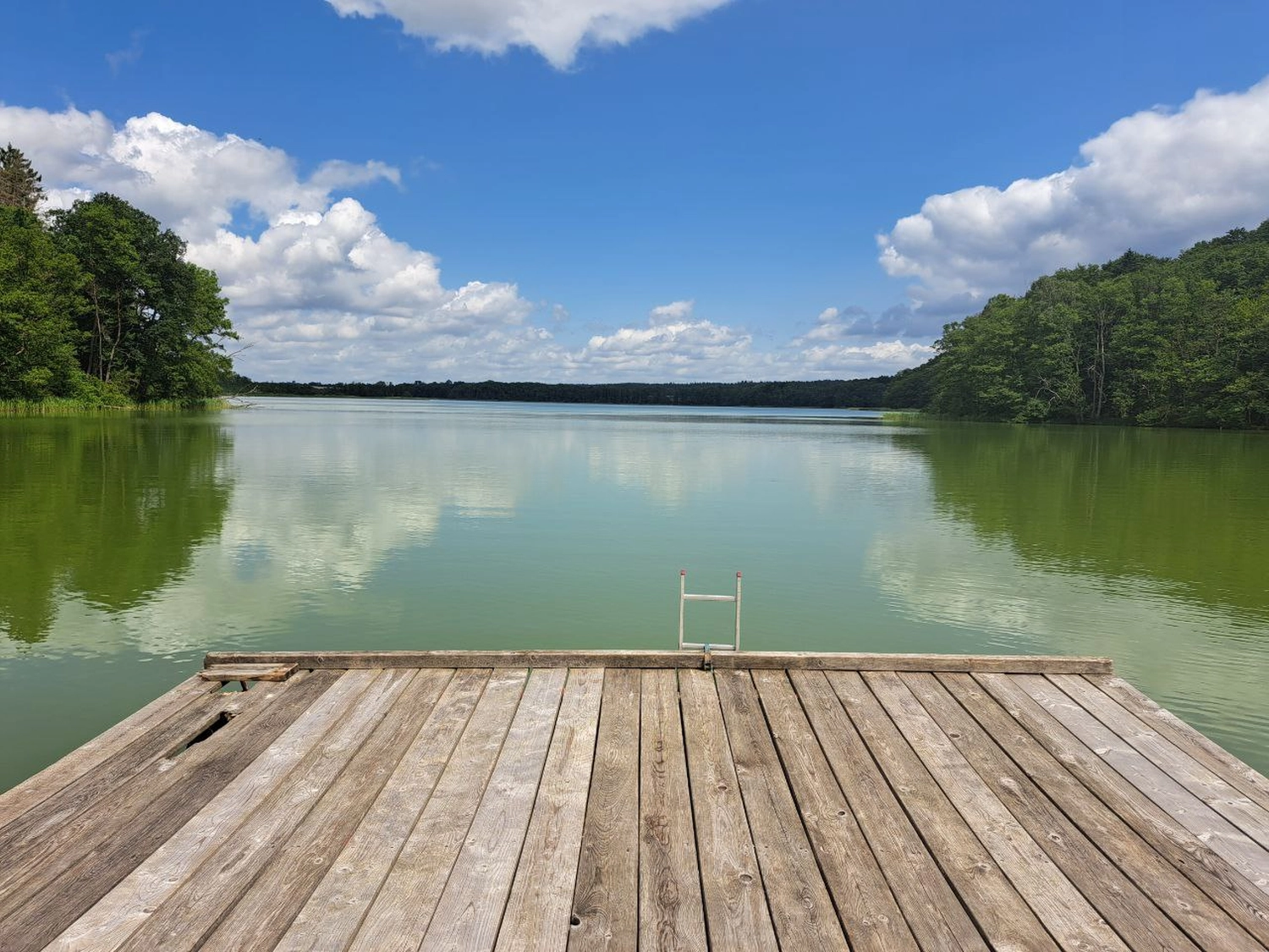 Körperglück - Massagetherapie und Beckenbodentraining - Ein Holzsteg mit einer Badeleiter aus Metall, die in einen ruhigen, weiten See unter leicht bewölktem, blauem Himmel führt, umgeben von grünen Baumreihen in der Ferne.