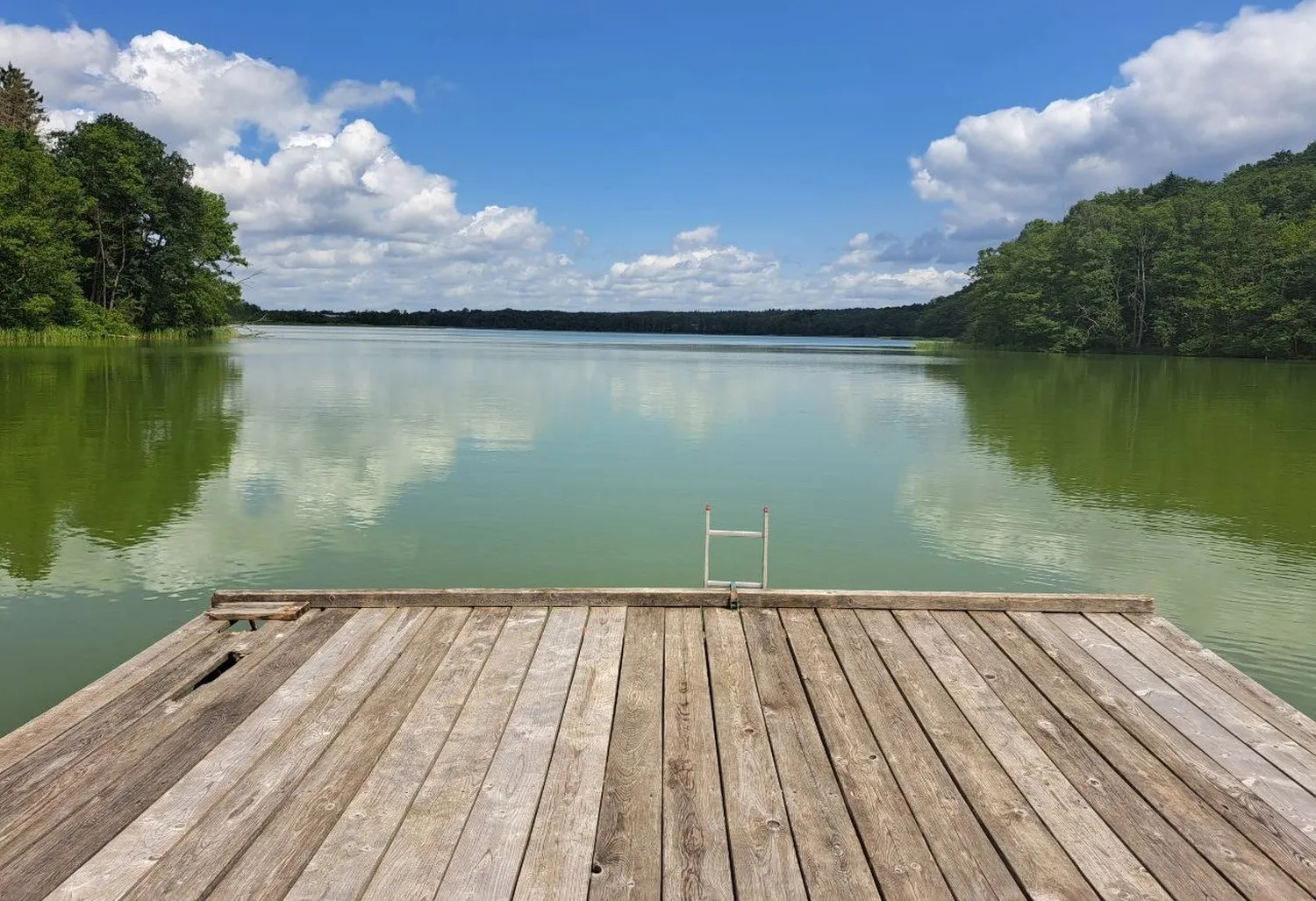 Körperglück - Massagetherapie und Beckenbodentraining - Ein Holzsteg mit einer Badeleiter aus Metall, die in einen ruhigen, weiten See unter leicht bewölktem, blauem Himmel führt, umgeben von grünen Baumreihen in der Ferne.